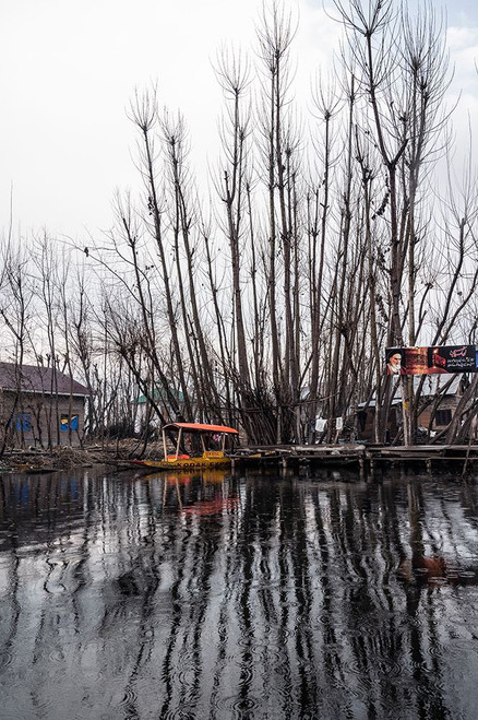 Time Spent at Dal Lake-5 Poster Print - Mona Singh
