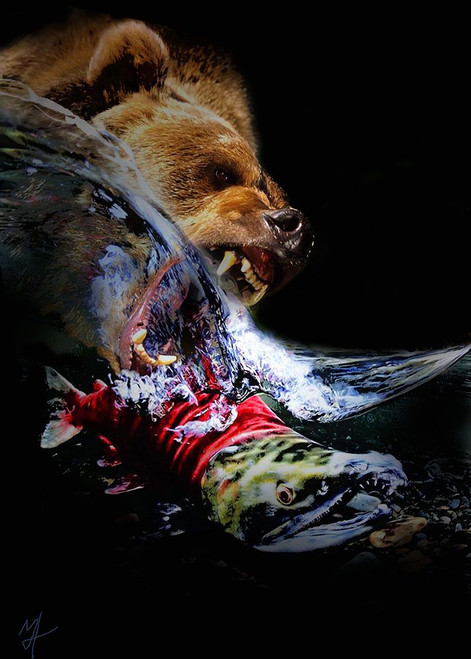 The Grizzly Circle Of Life Poster Print - Henderson Fine Murray