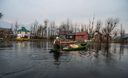 Time Spent at Dal Lake-1 Poster Print - Mona Singh