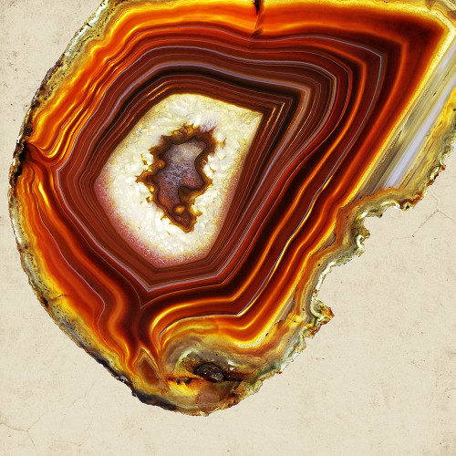 Autumn Agate B Poster Print - ArtLab GI