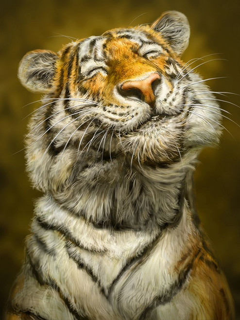Smiling Tiger Poster Print - Patrick LaMontagne