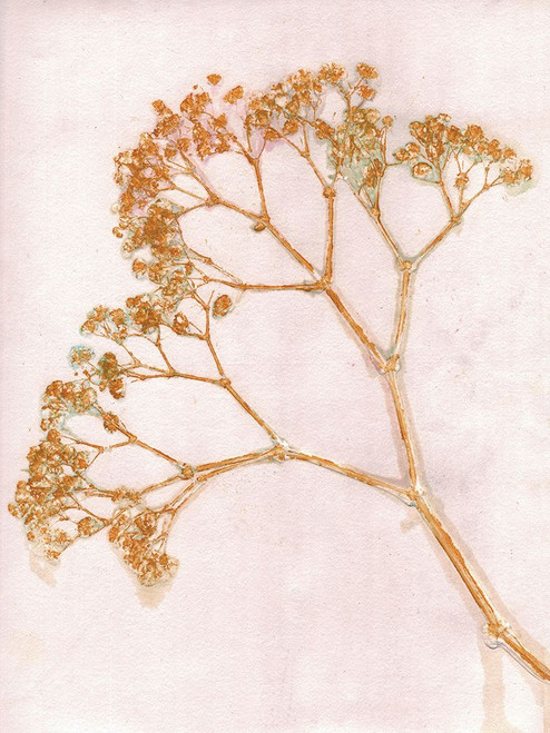 Gypso Ochre Poster Print - Pernille Folcarelli