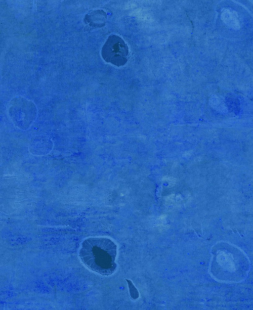 Nori-12LR Poster Print - Melissa Renee