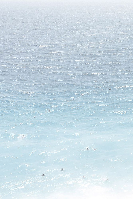 Ocean Life 1 Poster Print - Leah Straatsma