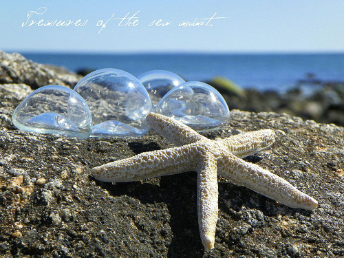 Treasures of the Sea Await Poster Print - GST