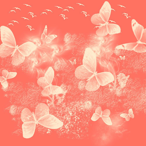 Digital Art Flight of Butterflies Poster Print - Rainbow Fine Jenny