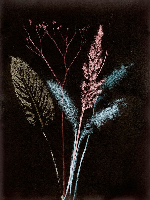 Bouquet 4 Dark Poster Print - Pernille Folcarelli