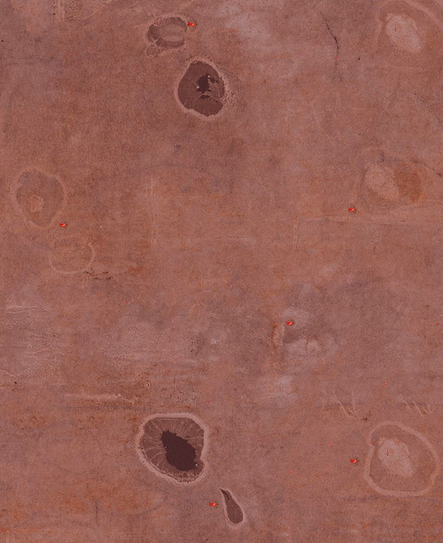 Nori-10LR Poster Print - Melissa Renee