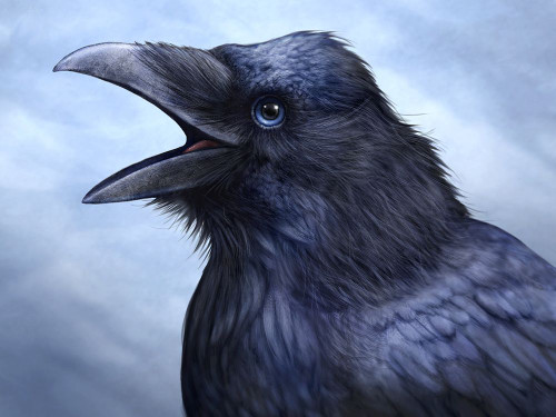 Raven Totem Poster Print - Patrick LaMontagne