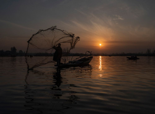 Sunset Fishing at Dal Poster Print - Mona Singh Sunset Fishing at Dal Poster Print - Mona Singh