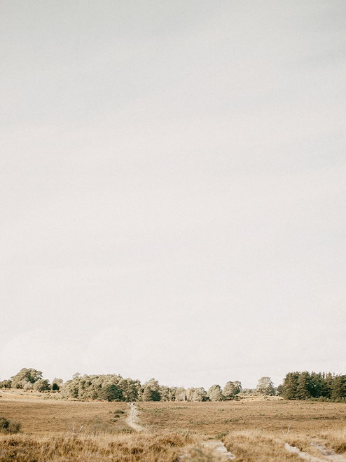 Fields in the Fall Poster Print - Leah Straatsma