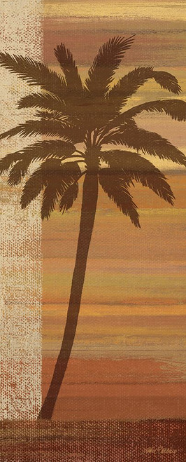 Tropical Sunset I Poster Print - John Zaccheo