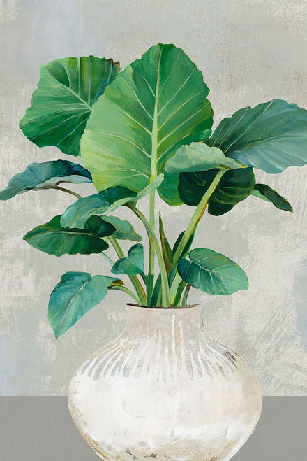 Indoor Plants II Poster Print - Asia Jensen