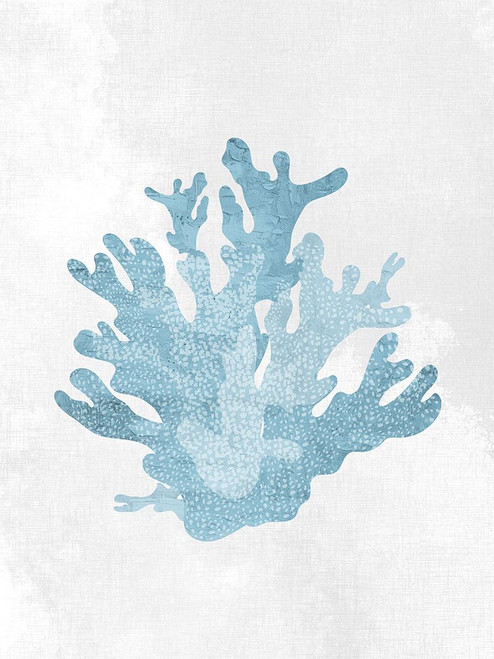 Coral Blue 2 Poster Print - Kimberly Allen