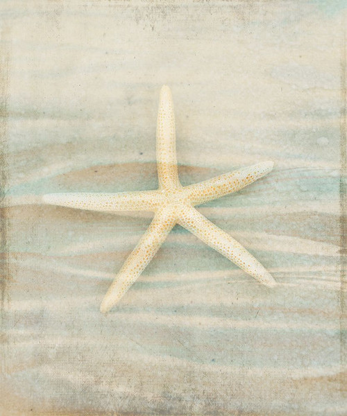 Gypsy Star 3 Poster Print - LightBoxJournal