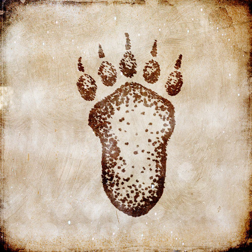 Moose Lodge - Bear Track Poster Print - LightBoxJournal