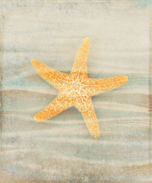 Gypsy Star 1 Poster Print - LightBoxJournal