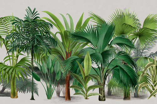 Exotic Wildlife 004 Poster Print - Andrea Haase