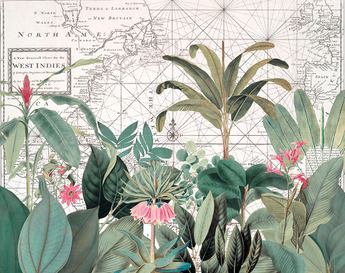 Exotic Wildlife 005 1 Poster Print - Andrea Haase