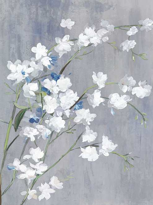 Blue White Blossoms II Poster Print - Asia Jensen