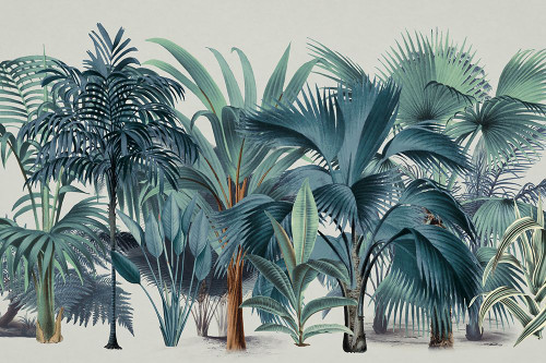 Exotic Wildlife 004 1 Poster Print - Andrea Haase