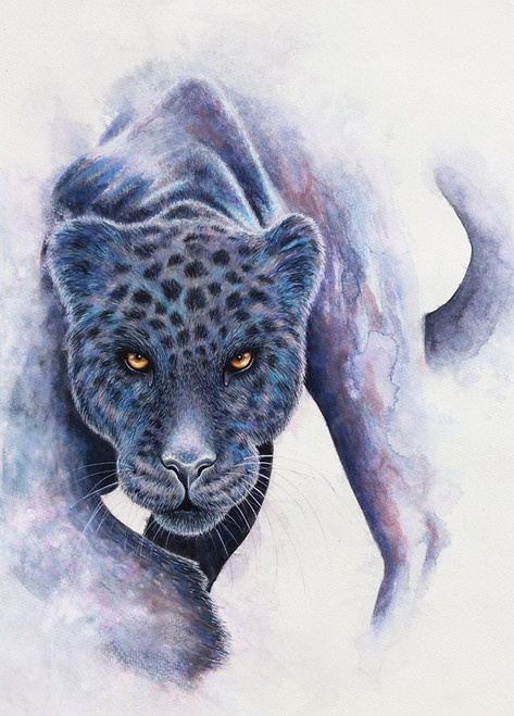 Spotted Black Panther Poster Print - Martin Wickstrom