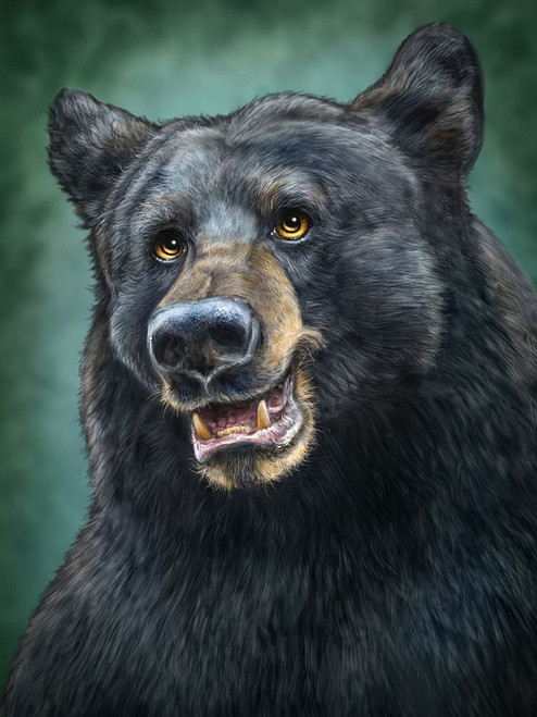 Black Bear Totem Poster Print - Patrick LaMontagne