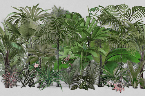 Exotic Wildlife 003 1 Poster Print - Andrea Haase