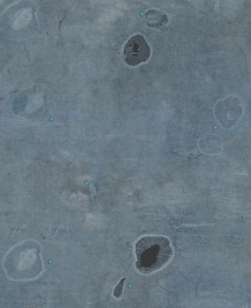 Nori-1L Poster Print - Melissa Renee