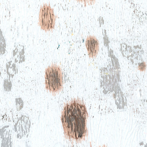 Wheaton Rose-7L Poster Print - Melissa Renee