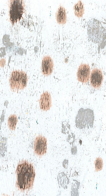 Wheaton Rose-6L Poster Print - Melissa Renee