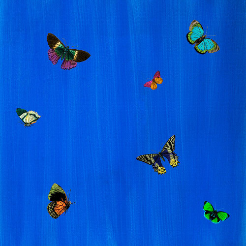 Flutter I Poster Print - ArtLab GI