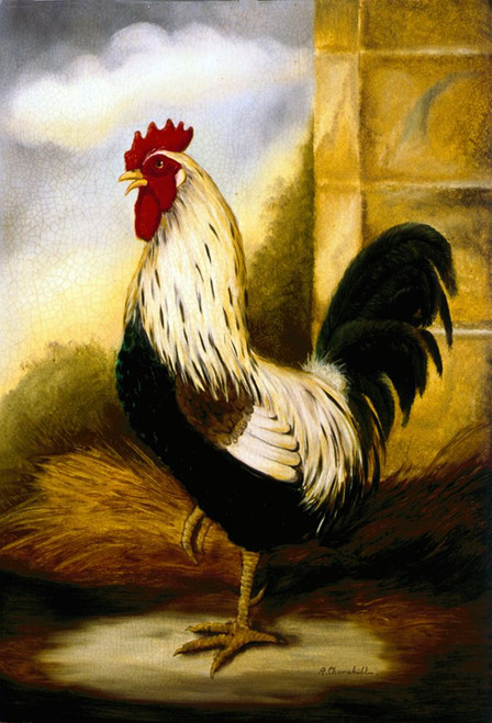 Dorking Crowing Cock Poster Print - Alexandra Churchill