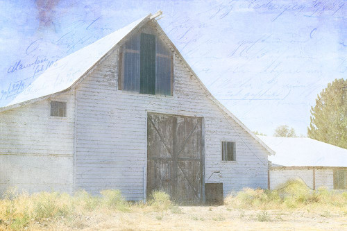 JunkGypsy 48 Poster Print - LightBoxJournal