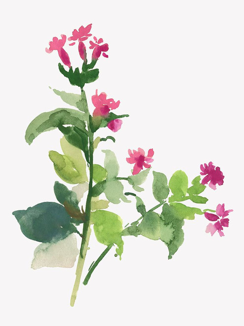 Spring is Coming Poster Print - Asia Jensen