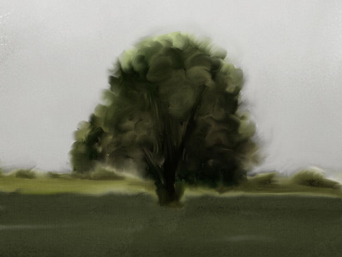 Evening Sky Poster Print - Kimberly Allen