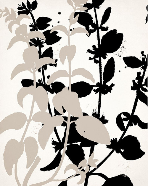 Botanical Black 2 Poster Print - Kimberly Allen