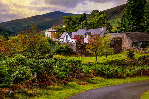 Lovely Homestead in Wicklow Poster Print - Rainbow Fine Jenny