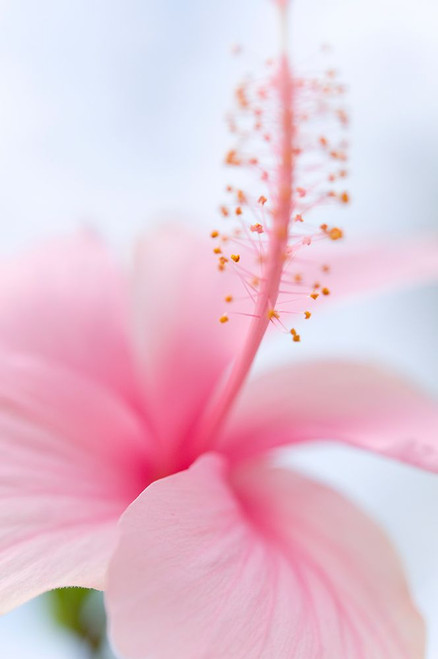 Invitation Into the Light Poster Print - Rainbow Fine Jenny