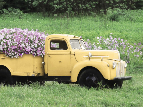 Make Your Dreams Happen Poster Print - Lori Deiter