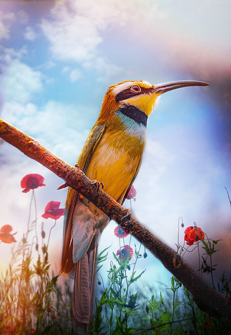 Birds and Dreams Poster Print - Grams Love