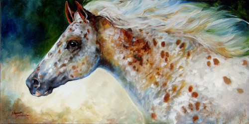 Appaloosa Spirit Poster Print - Marcia Baldwin