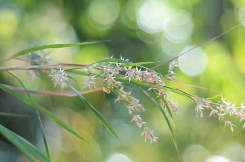 Waterfall of Lights Poster Print - Rainbow Fine Jenny