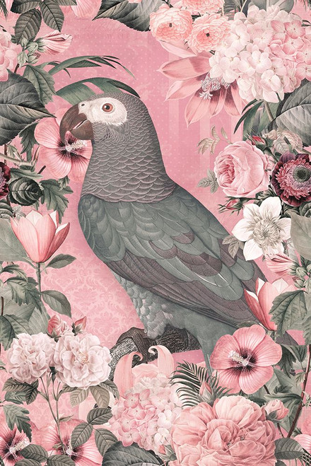 The Parrots Paradise Garden Pastel Pink Poster Print - Andrea Haase