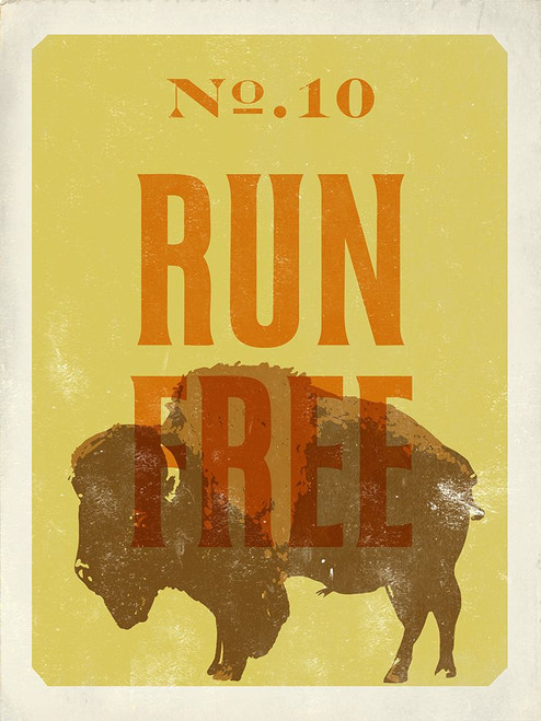 Buffalo 2 Poster Print - Cory Steffen