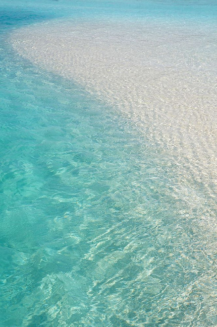 Water Meditation Poster Print - Rainbow Fine Jenny