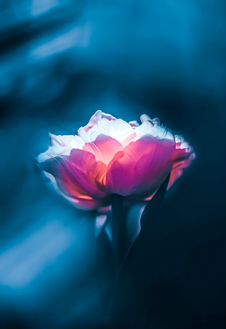 Neon Fantasy Poster Print - Grams Love