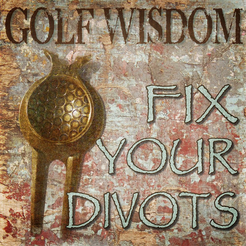 Golf Wisdom Fix Your Divots Poster Print - GST