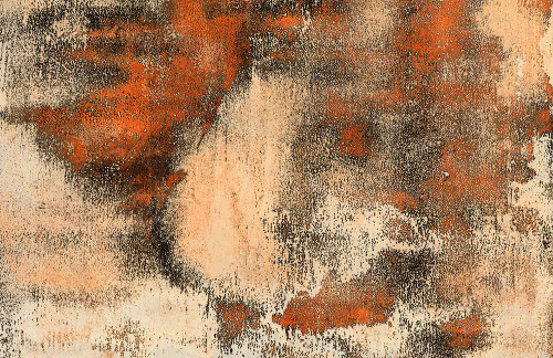 Vibing-70s-L2 Poster Print - Melissa Renee