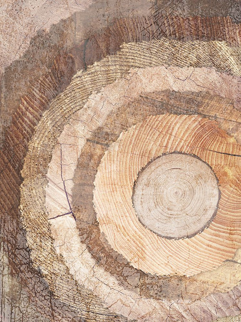 Natural Rings Of Life Poster Print - Marcus Prime